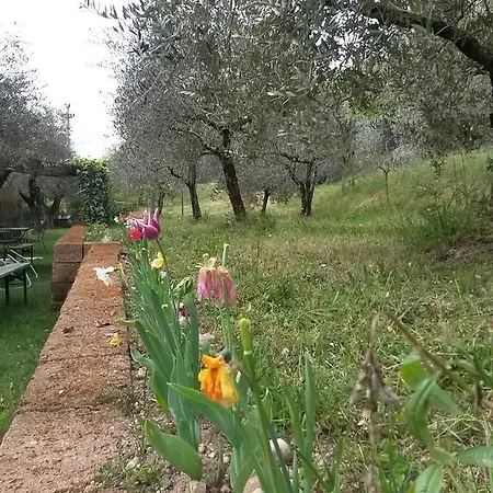 בית חווה Camparella