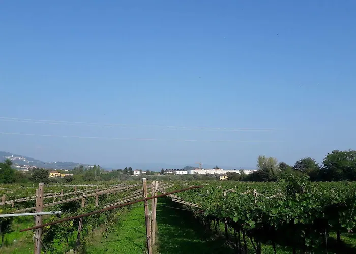 Bauernhof Camparella